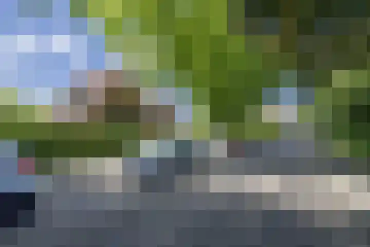Parklaan 1 B Krommenie thumbnail 55