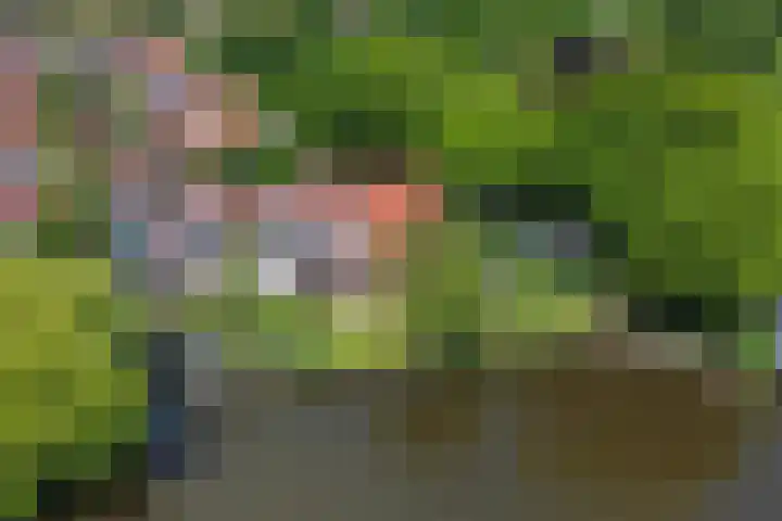 Parklaan 1 B Krommenie thumbnail 57