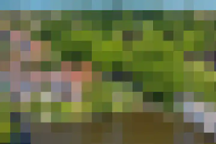 Parklaan 1 B Krommenie thumbnail 58