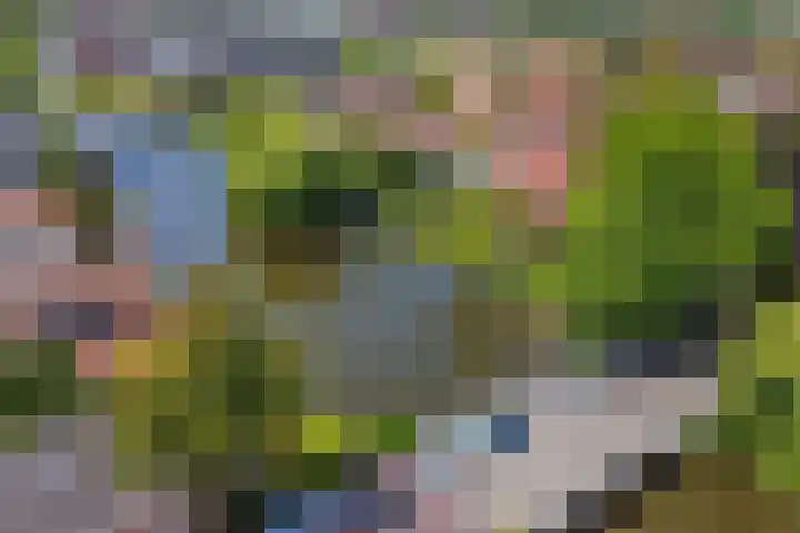 Parklaan 1 B Krommenie thumbnail 60