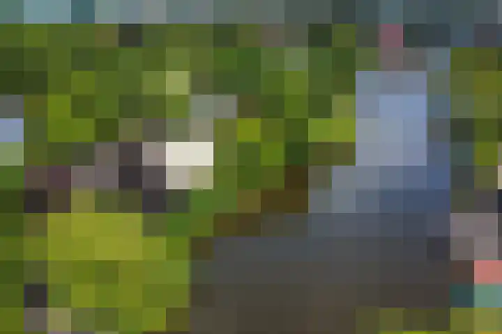 Parklaan 1 B Krommenie thumbnail 61