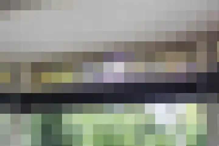 Parklaan 1 B Krommenie thumbnail 7