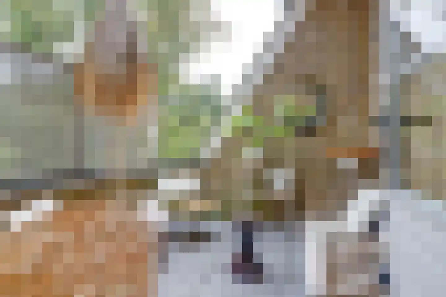 Parklaan 1 Driebergen-Rijsenburg thumbnail 7