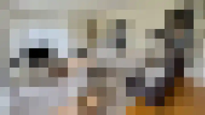 Parklaan 1 Oude Pekela thumbnail 10