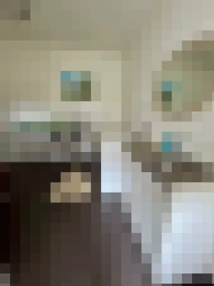 Parklaan 1 Oude Pekela thumbnail 13