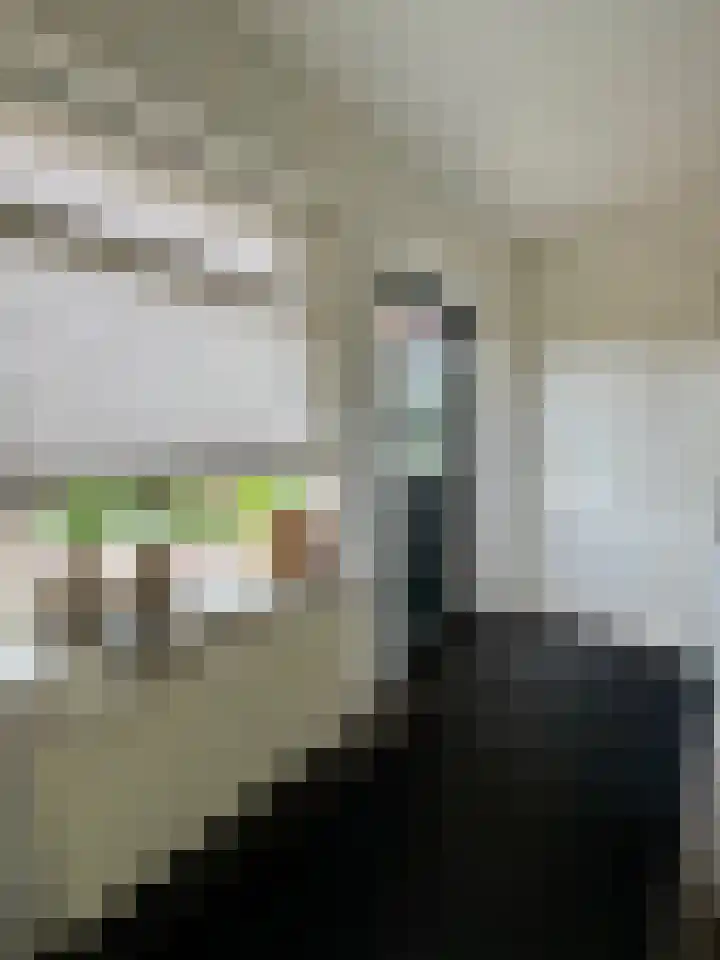 Parklaan 1 Oude Pekela thumbnail 14