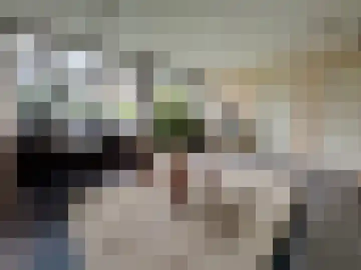 Parklaan 1 Oude Pekela thumbnail 20