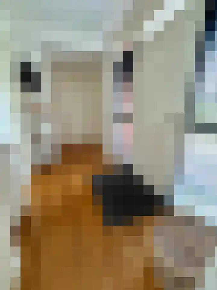 Parklaan 1 Oude Pekela thumbnail 5
