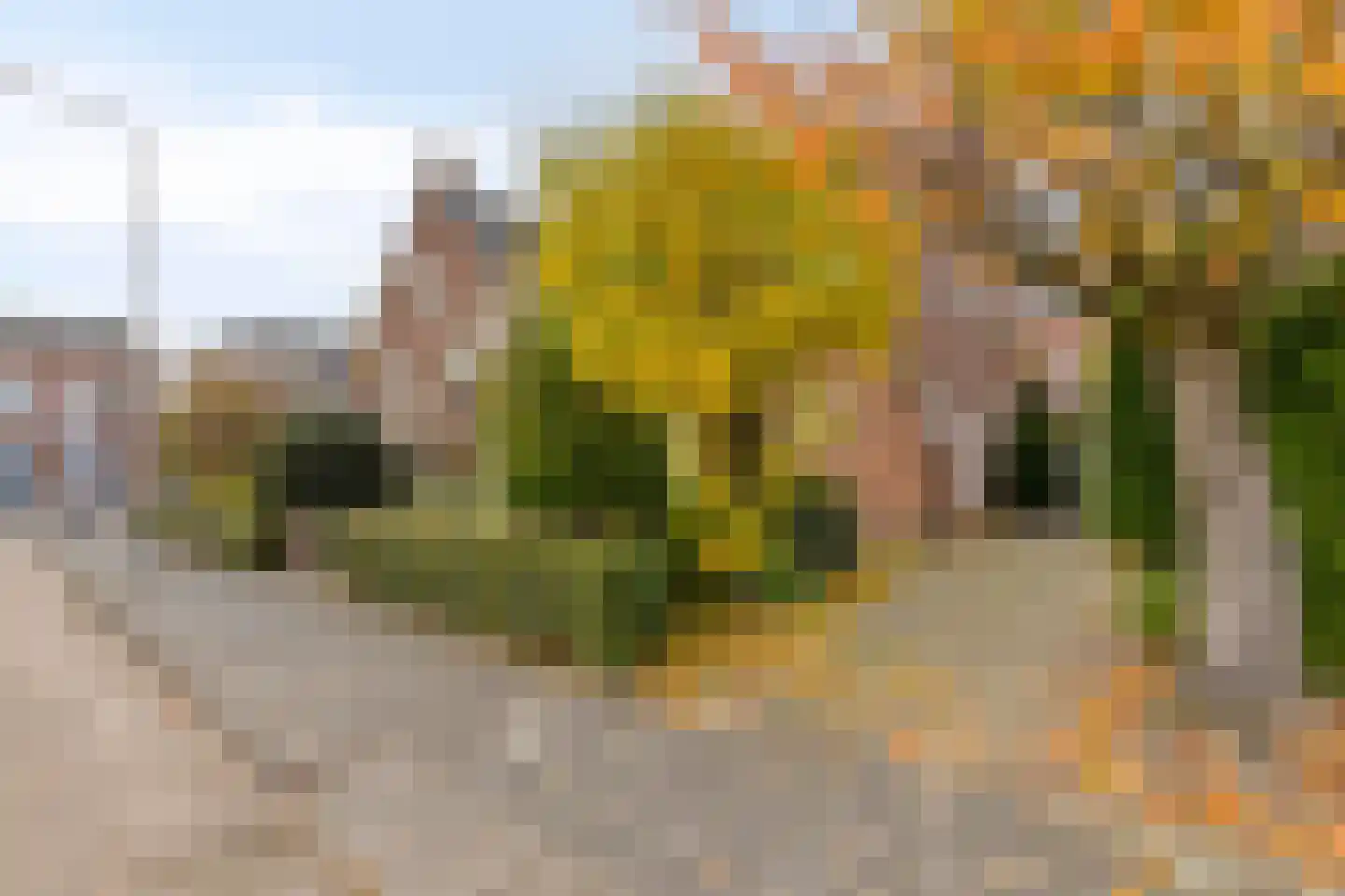 Parklaan 1 Roosendaal thumbnail 4