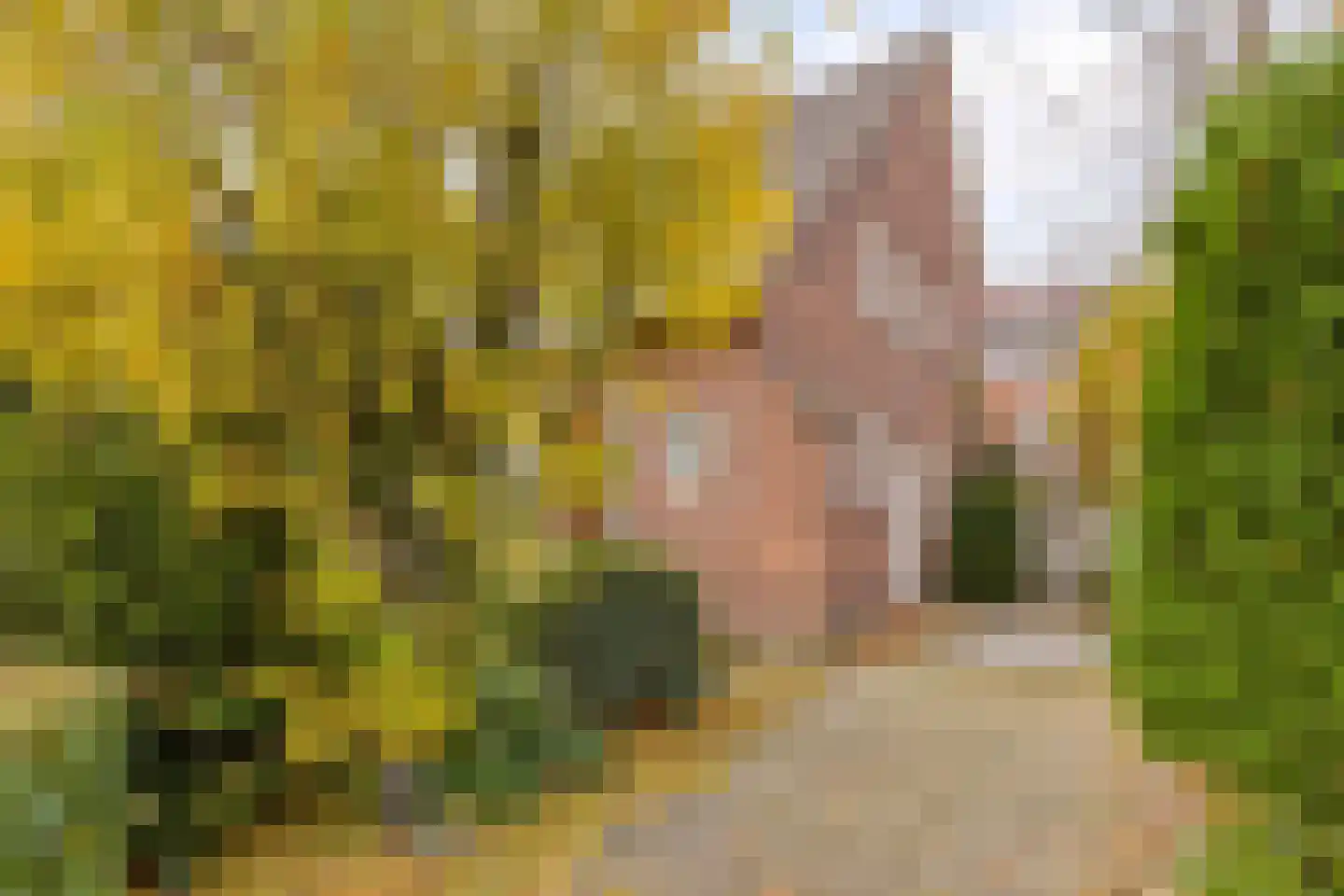 Parklaan 1 Roosendaal thumbnail 5
