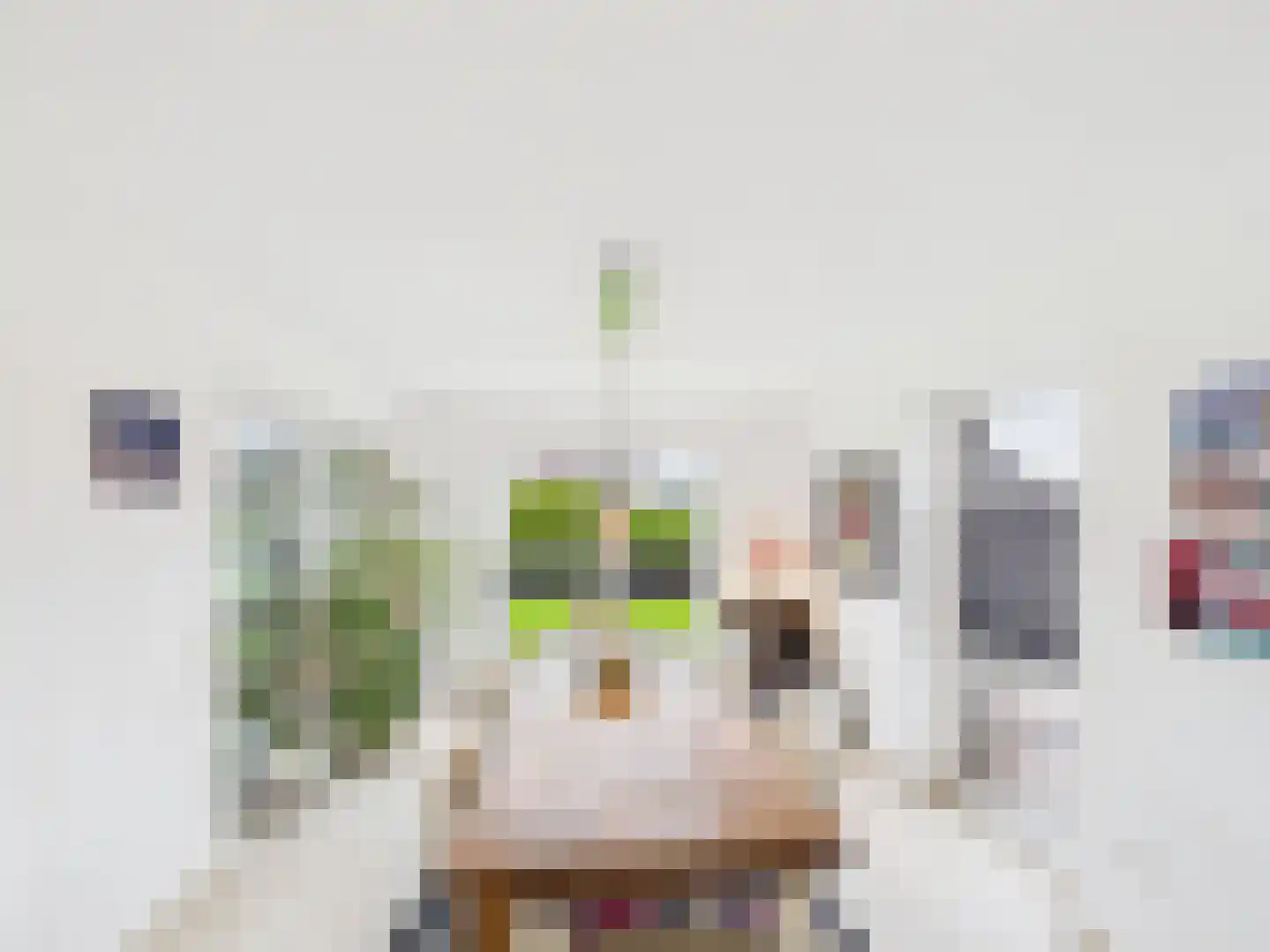 Parklaan 10 Groningen thumbnail 30
