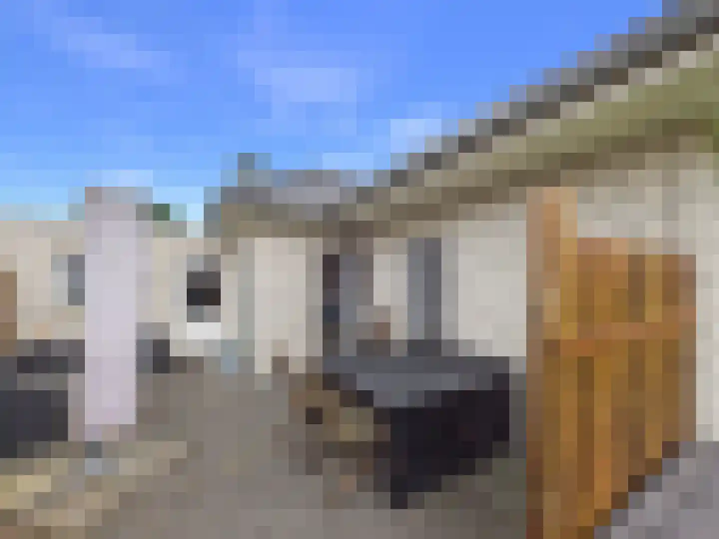 Parklaan 10 Groningen thumbnail 9