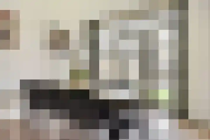 Parklaan 10 Hoogkarspel thumbnail 5
