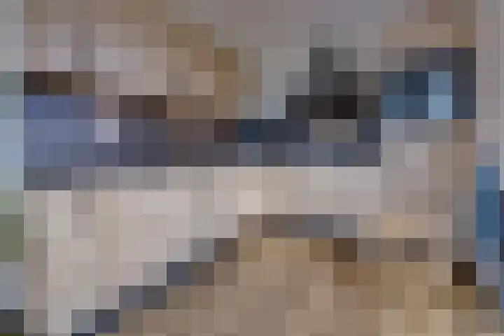 Parklaan 10 N Nieuw-Buinen thumbnail 10
