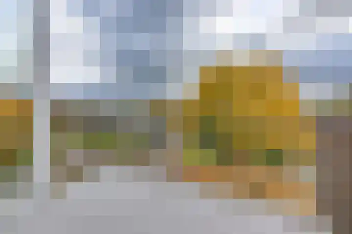 Parklaan 10 N Nieuw-Buinen thumbnail 11