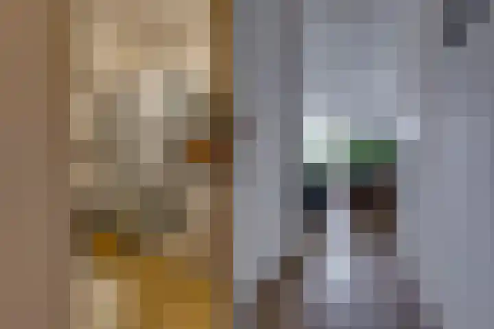 Parklaan 10 N Nieuw-Buinen thumbnail 12