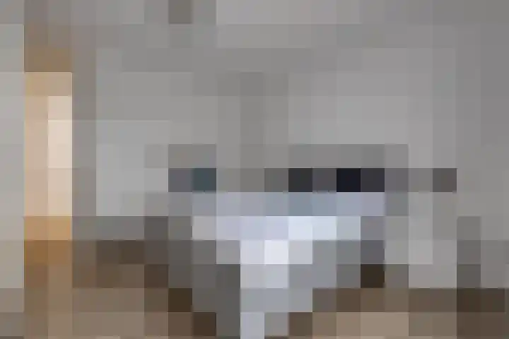 Parklaan 10 N Nieuw-Buinen thumbnail 16
