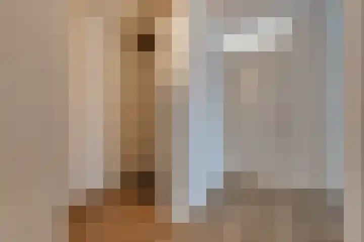 Parklaan 10 N Nieuw-Buinen thumbnail 21