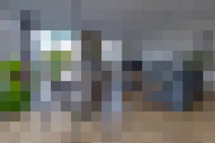 Parklaan 10 N Nieuw-Buinen thumbnail 6