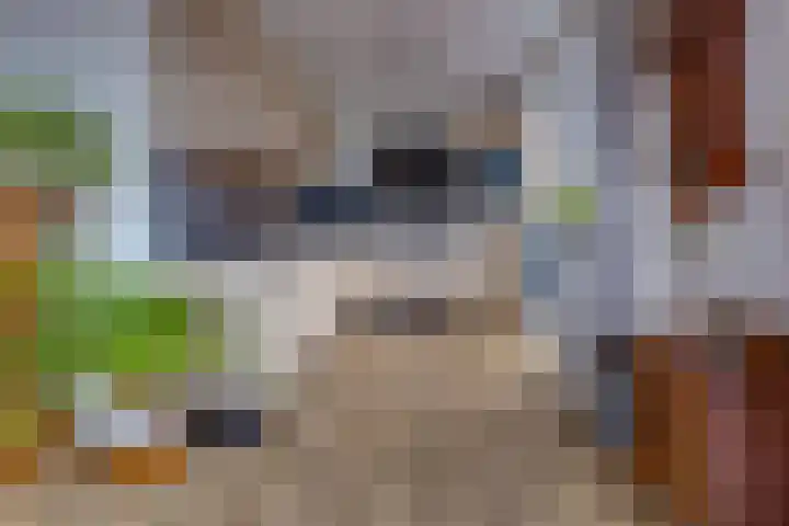 Parklaan 10 N Nieuw-Buinen thumbnail 9