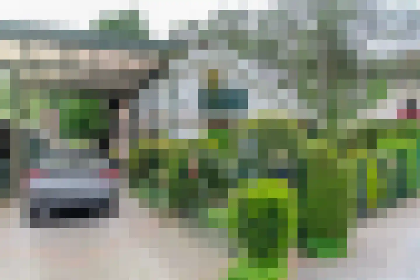 Parklaan 10 Putte thumbnail 10