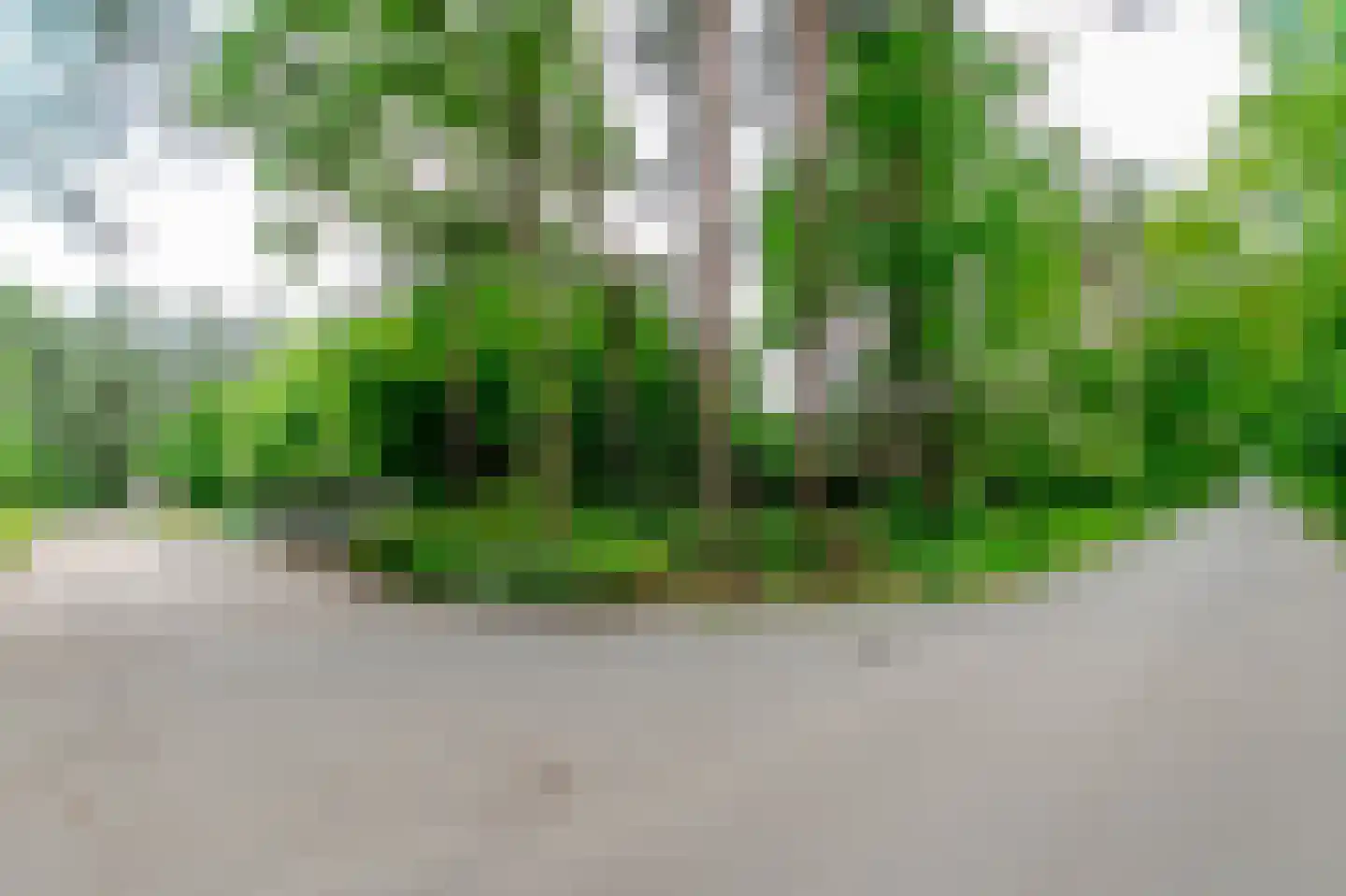 Parklaan 10 Putte thumbnail 12