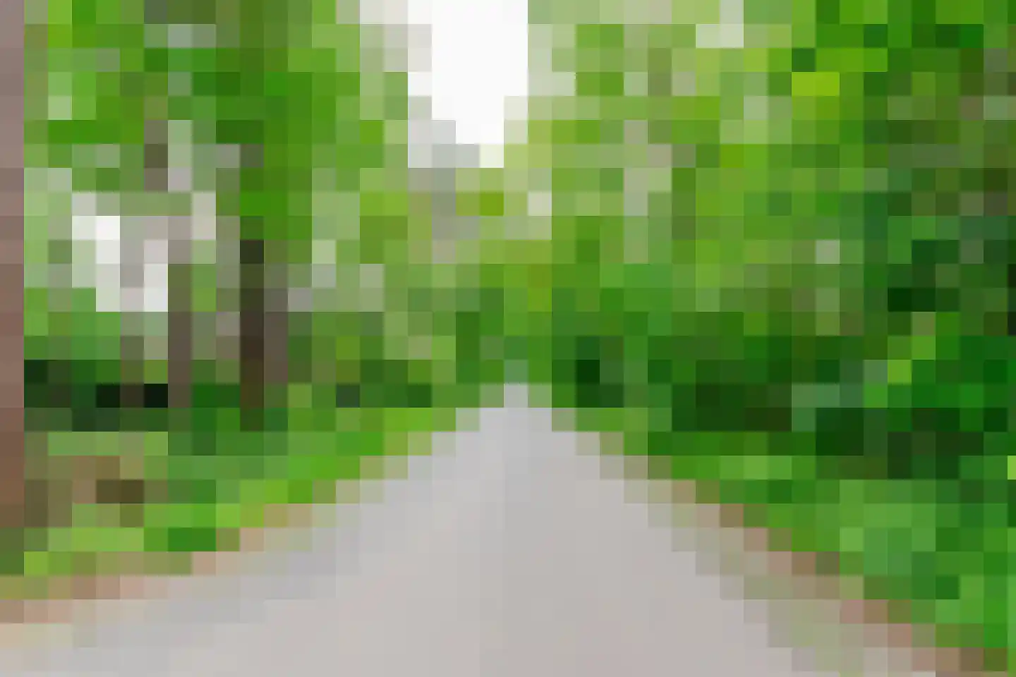 Parklaan 10 Putte thumbnail 13