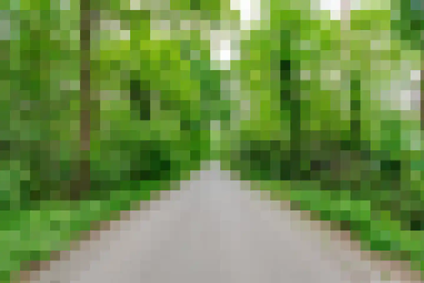 Parklaan 10 Putte thumbnail 14