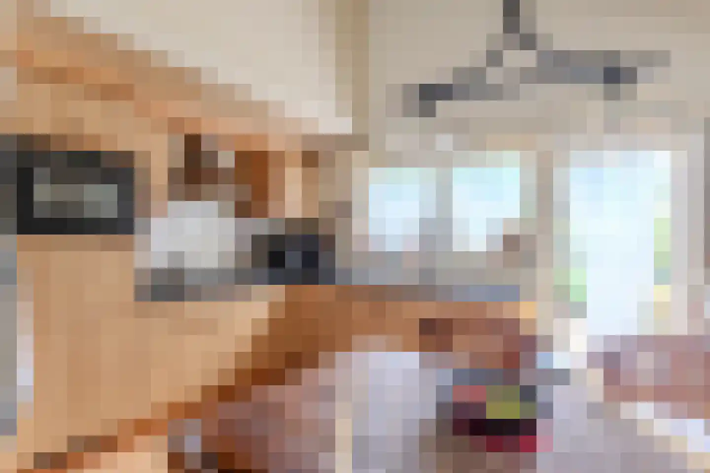 Parklaan 10 Putte thumbnail 21