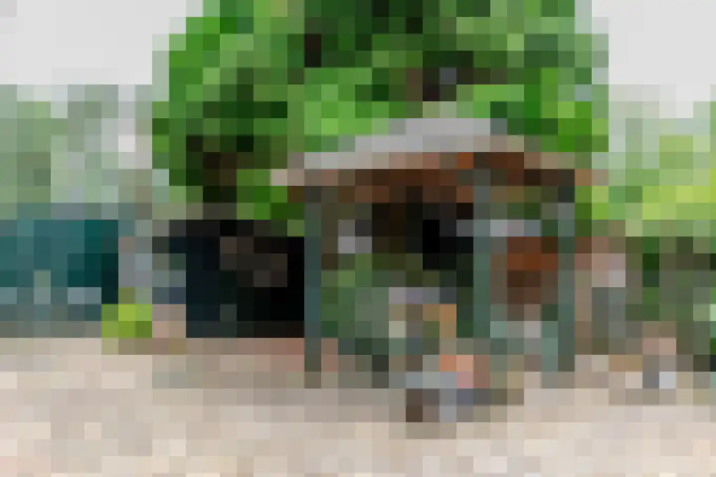 Parklaan 10 Putte thumbnail 27