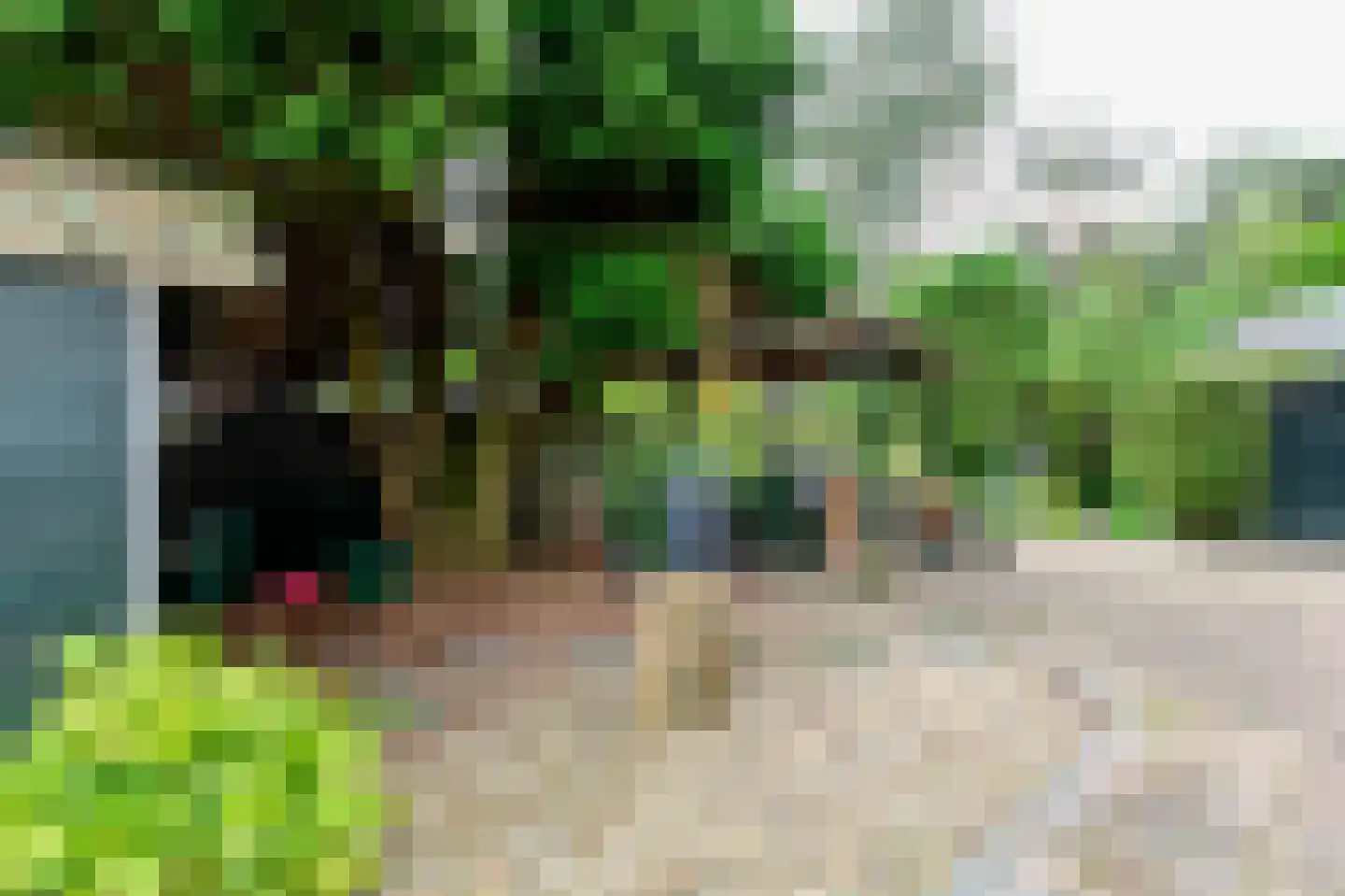 Parklaan 10 Putte thumbnail 28