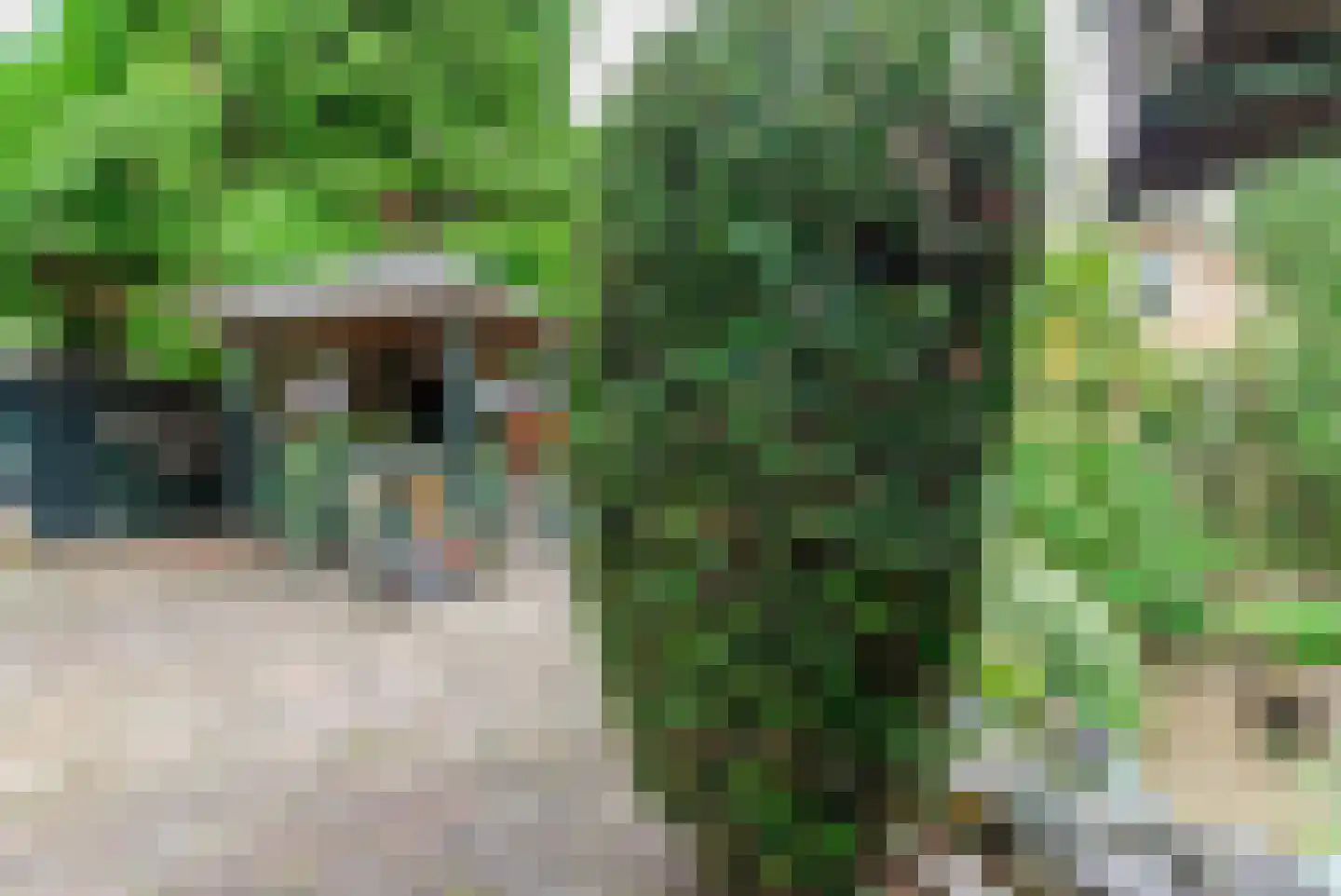 Parklaan 10 Putte thumbnail 29