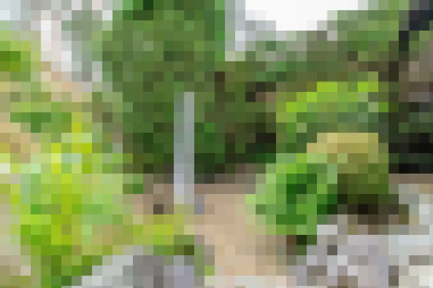 Parklaan 10 Putte thumbnail 30