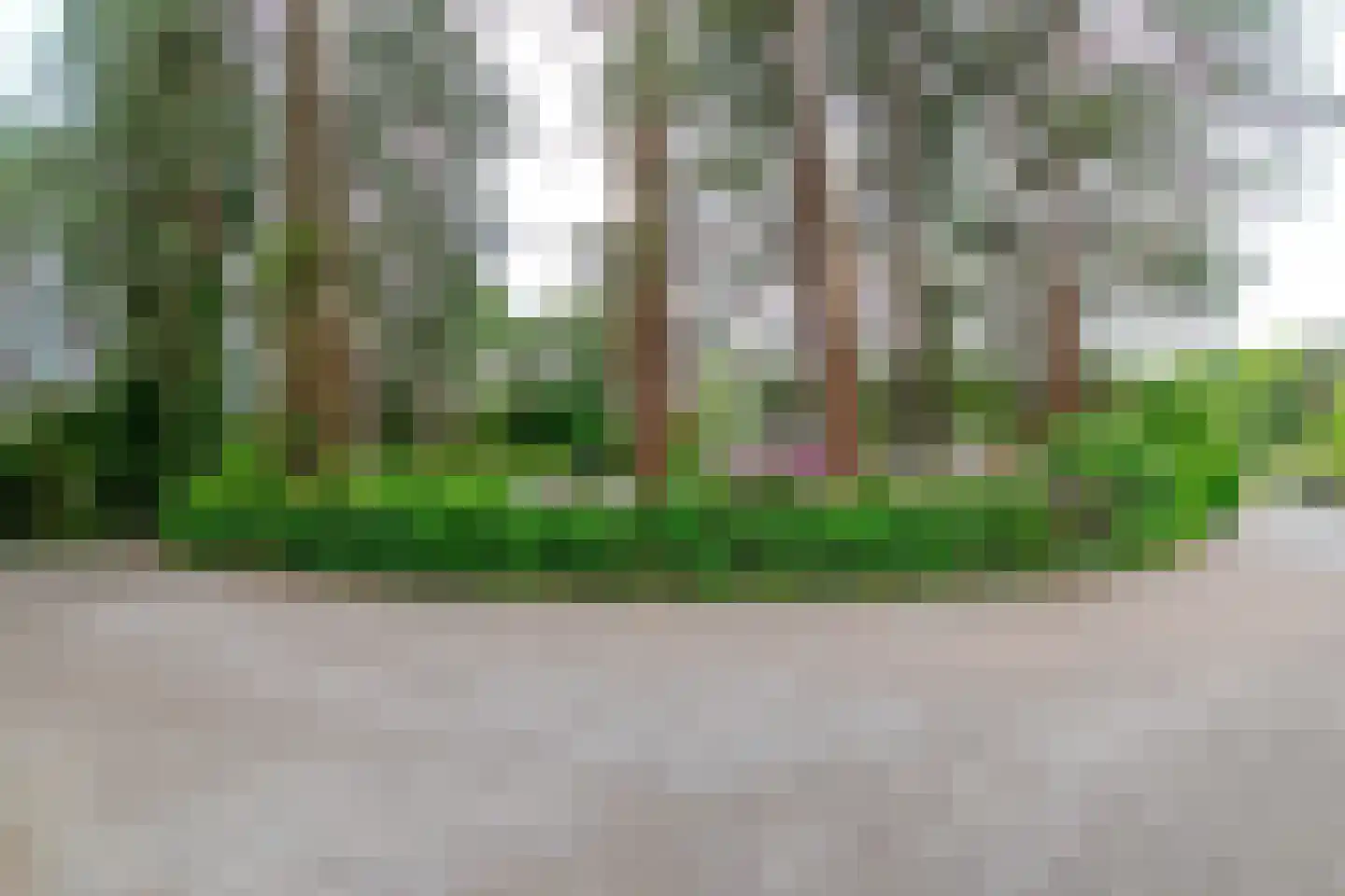 Parklaan 10 Putte thumbnail 35