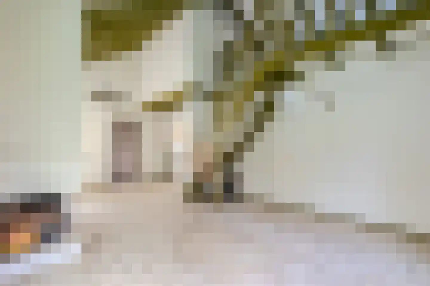 Parklaan 108 Putte thumbnail 7
