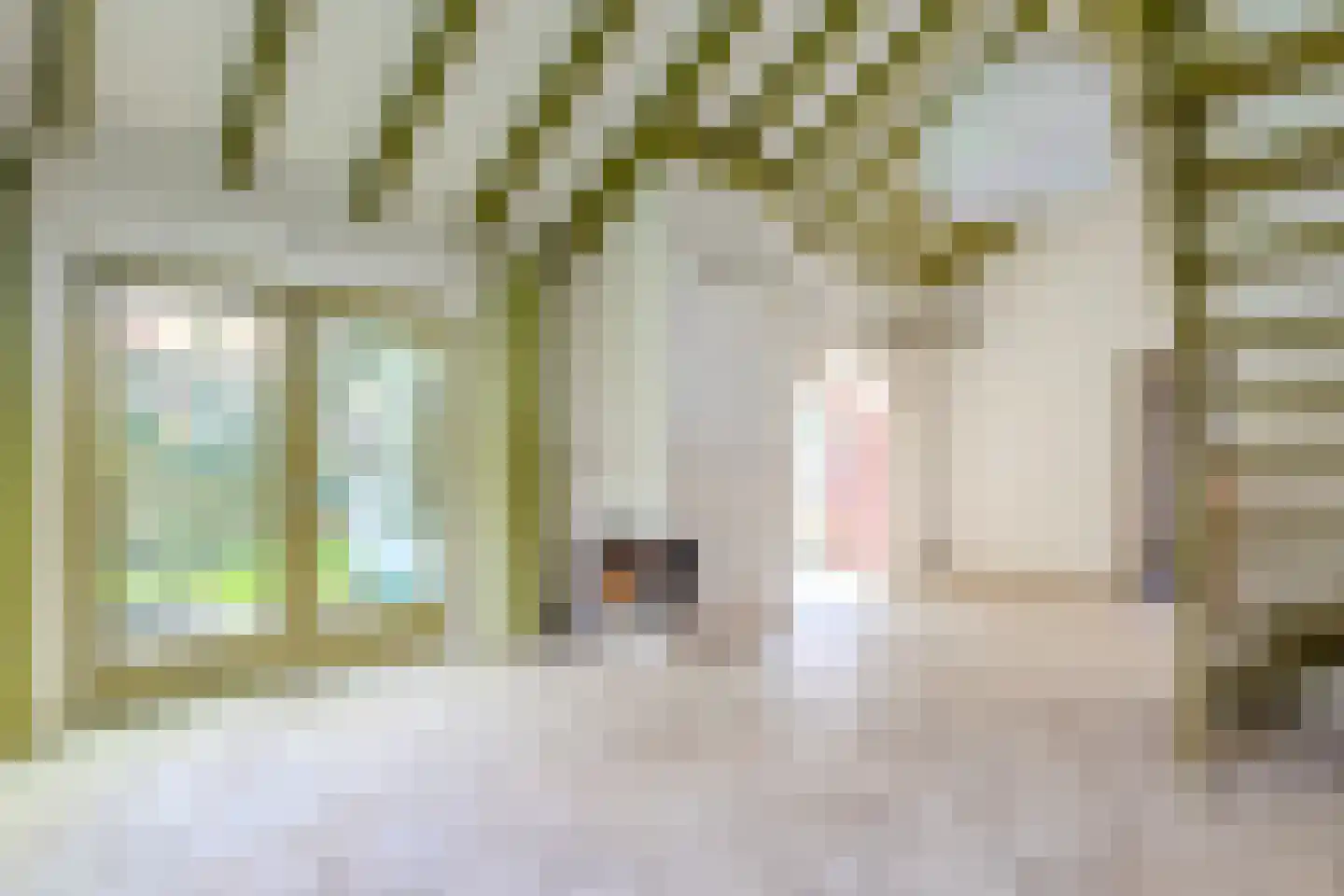 Parklaan 108 Putte thumbnail 8
