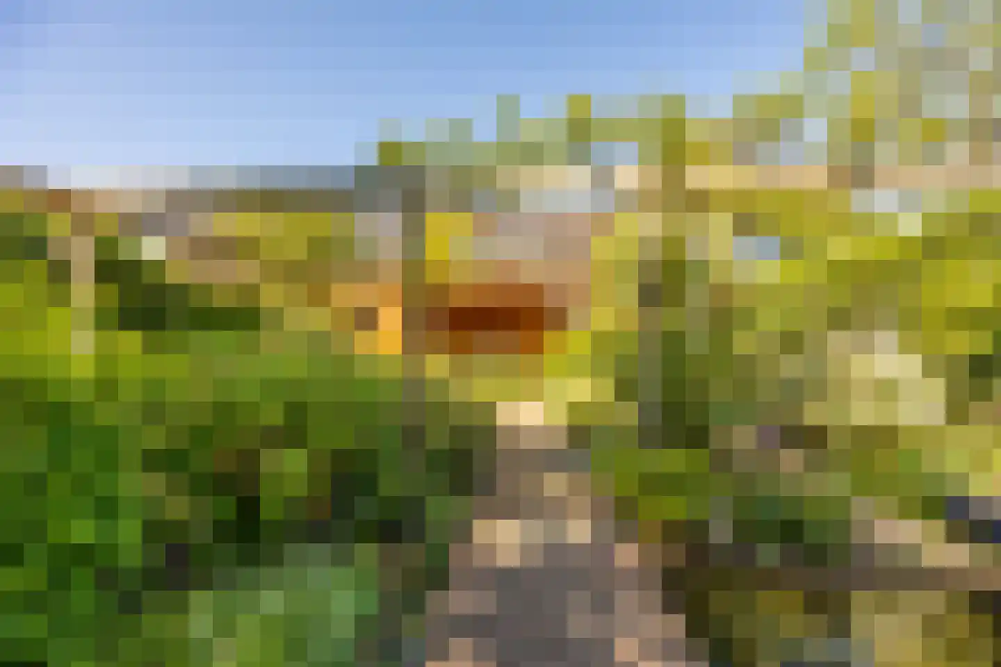 Parklaan 11 Hillegom thumbnail 14