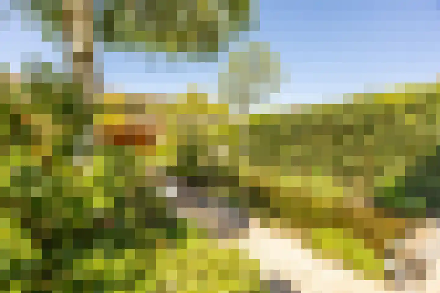 Parklaan 11 Hillegom thumbnail 15