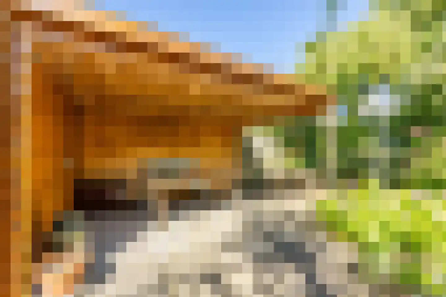 Parklaan 11 Hillegom thumbnail 16