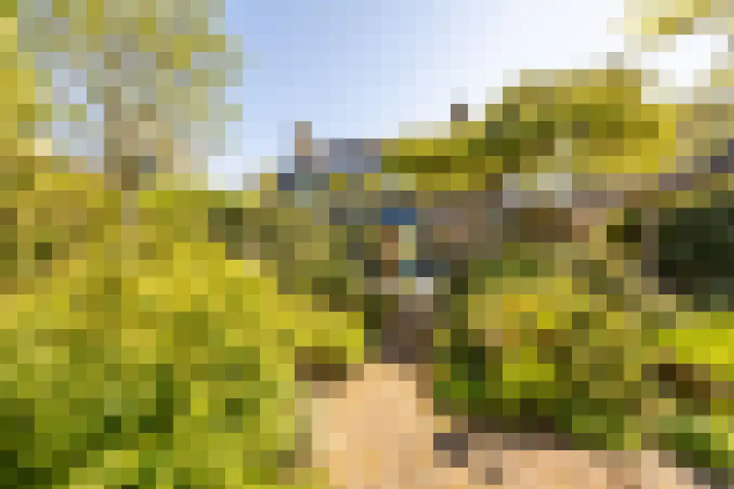 Parklaan 11 Hillegom thumbnail 17