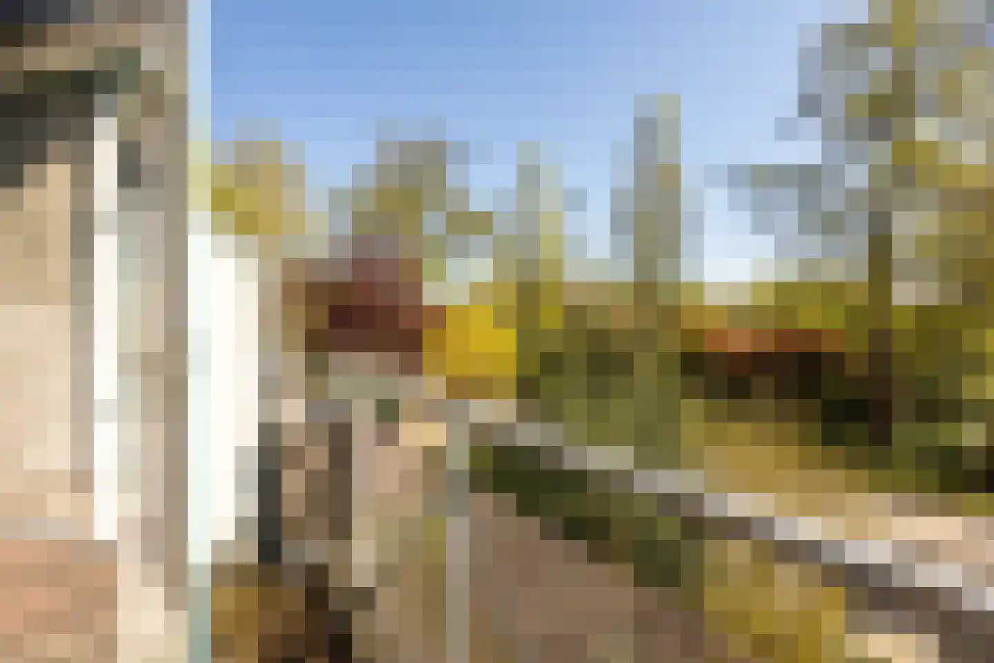 Parklaan 11 Hillegom thumbnail 20