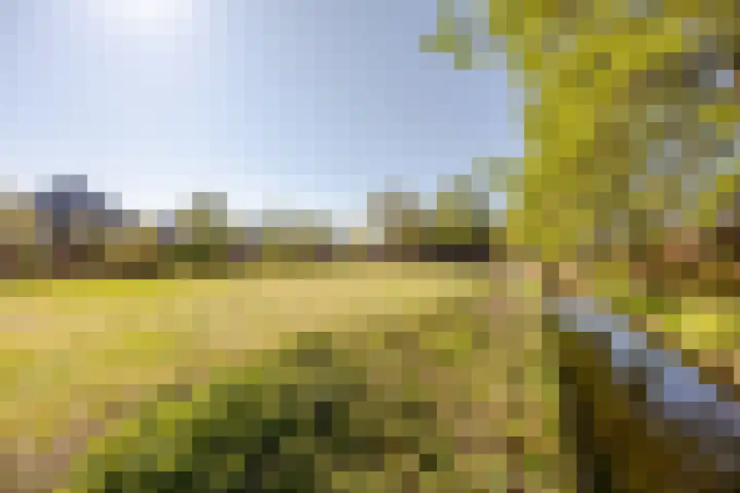 Parklaan 11 Hillegom thumbnail 34