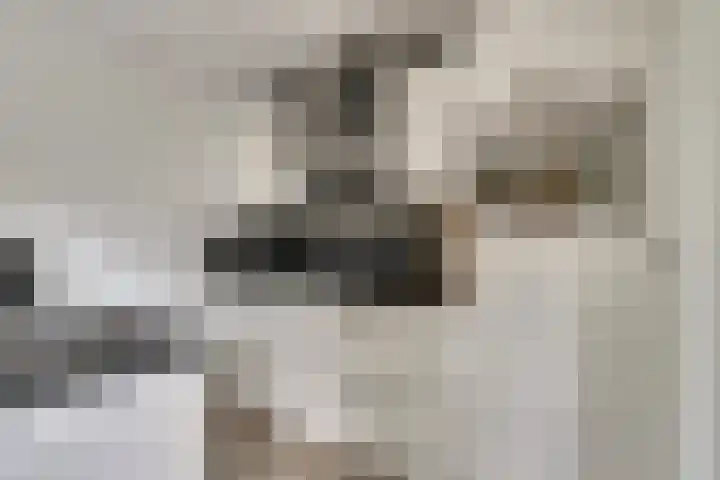 Parklaan 11 Kapelle thumbnail 14