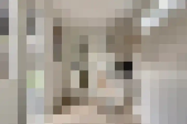 Parklaan 11 Kapelle thumbnail 16