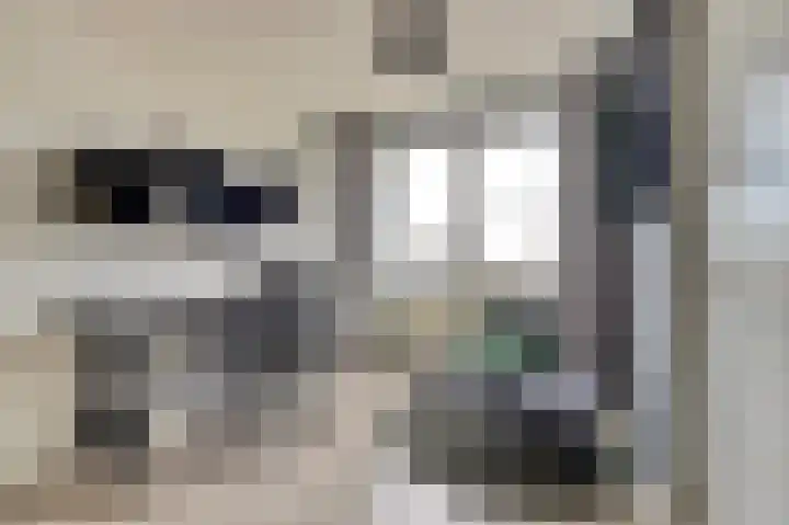 Parklaan 11 Kapelle thumbnail 21