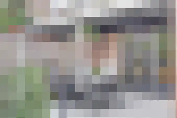 Parklaan 11 Kapelle thumbnail 30