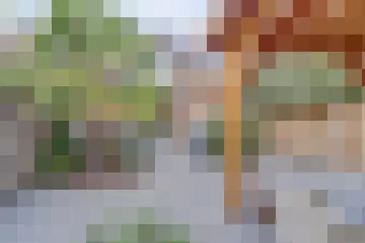 Parklaan 11 Kapelle thumbnail 31