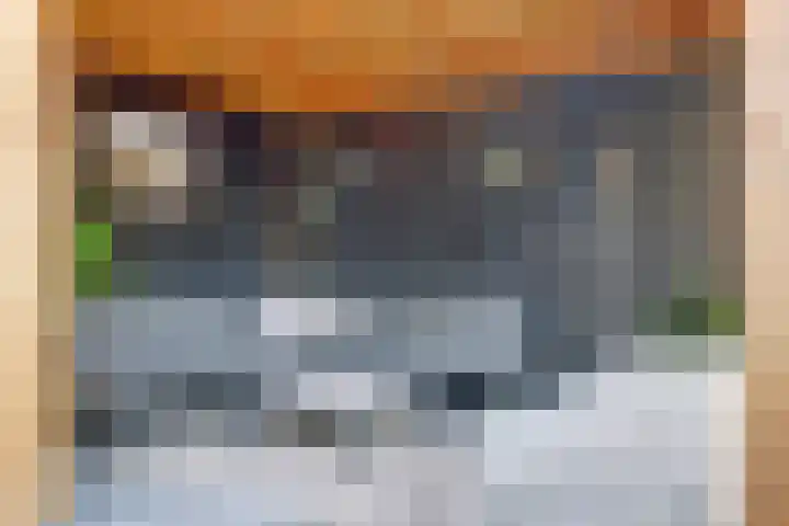Parklaan 11 Kapelle thumbnail 32