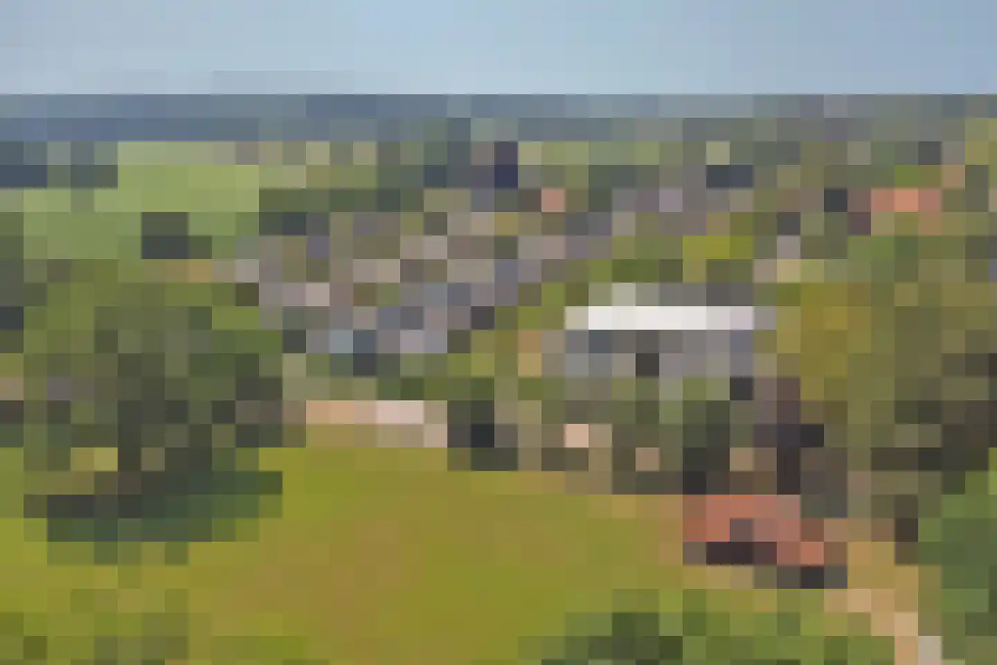 Parklaan 11 Lochem thumbnail 27