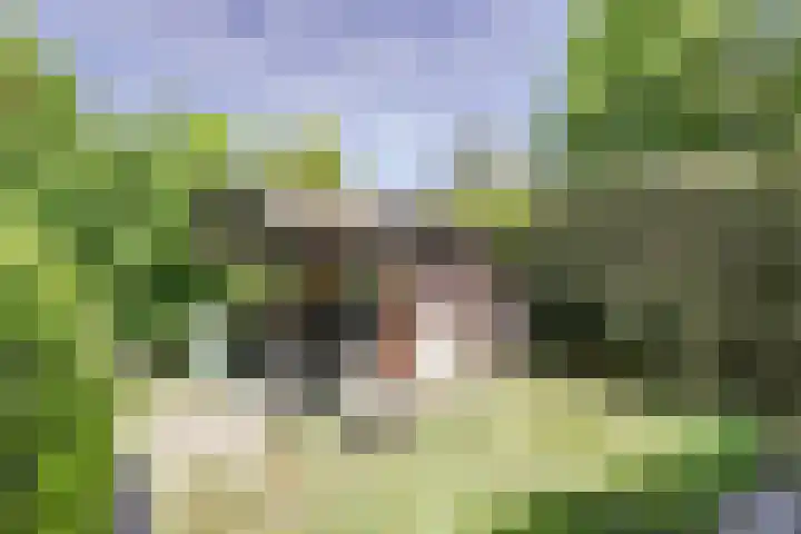 Parklaan 116 Putte thumbnail 25